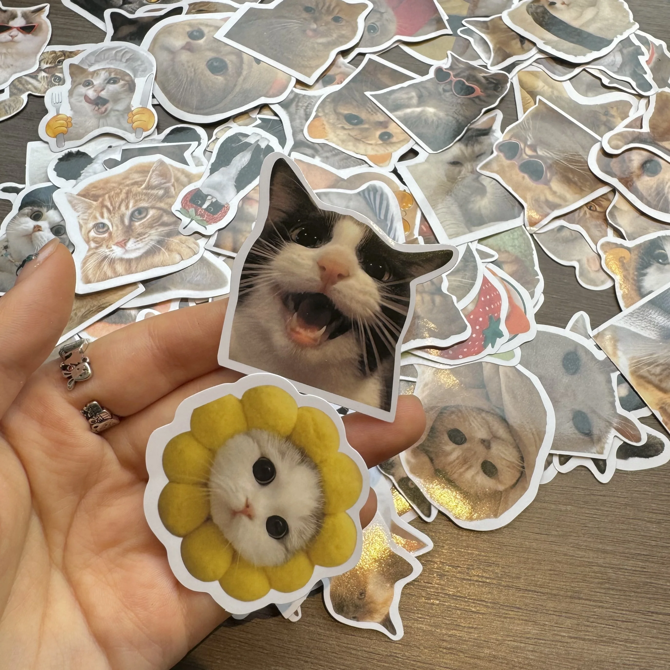 ラップトップ、デスク、コンピューター、荷物収納ボックスウォーターカップを飾るための60枚のかわいいリアルな猫の落書きステッカー