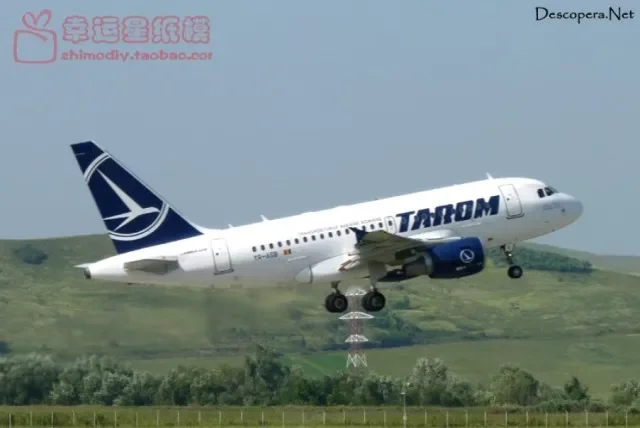 Airbus A318 Tarom 3D Paper Model DIY Handmade Toy