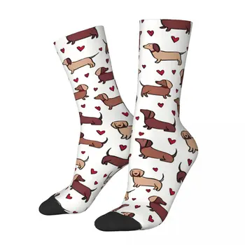 Amour heureux drôle teckel chaussettes hommes femmes automne bas imprimés