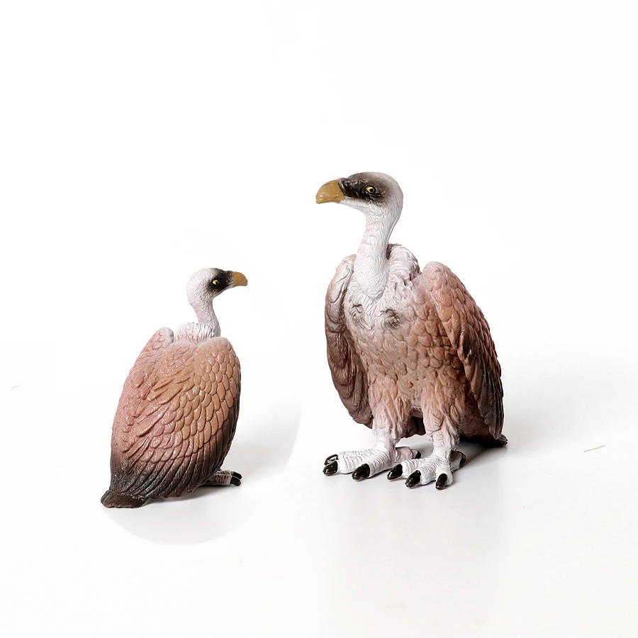 Realistic Hand Painted Bird Animals Figurines Toucan Peacock Owl Flamingo Educational Toy Cake Toppers Christmas Birthday Gift