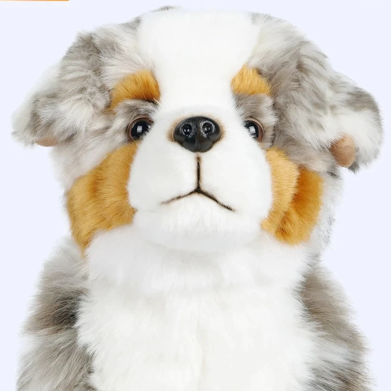 Simulated Australian Shepherd Plush Toy Soft Fill Animal Dog Doll Comfortable Companion Home Decoration Series Fluffy Cute Toy
