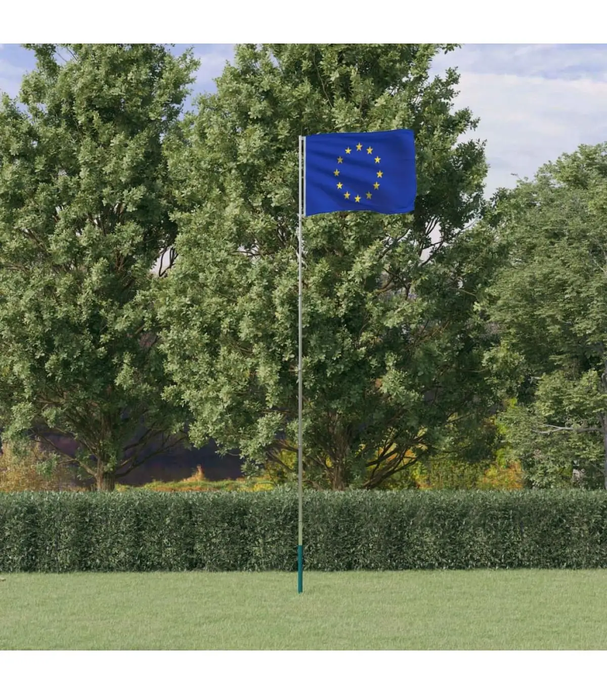 5,55 m European aluminum flag and wind sleeve flags