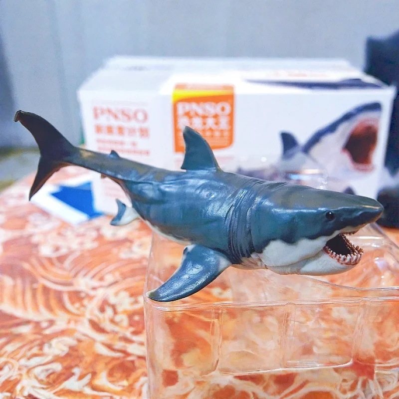 

PNSO Dinosaur King Megalodon Collectible Model Prehistoric Marine Shark Figure With Articulated Jaw Growth Companion Toy Gift