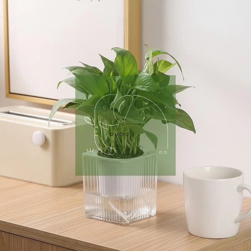 

Self Watering Pot Square Planter Inner Basket Automatic Water Absorption Flower Pot Indoor Plants Pothos Gift
