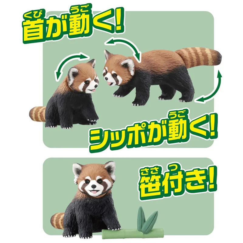 TAKARA TOMY Anlia Animal Red Panda Model Simulation Raccoon Collection Ornaments Miniature Figures Children's Toys Birthday Gift