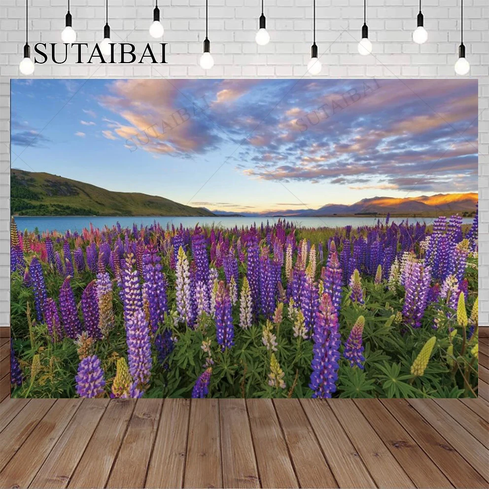 Valentijnsdag Februari 14 Provence Lavendel Bloem Zee Wieden Party Zee Van Rode Bloemen Foto Backdrops Fotografie Achtergrond