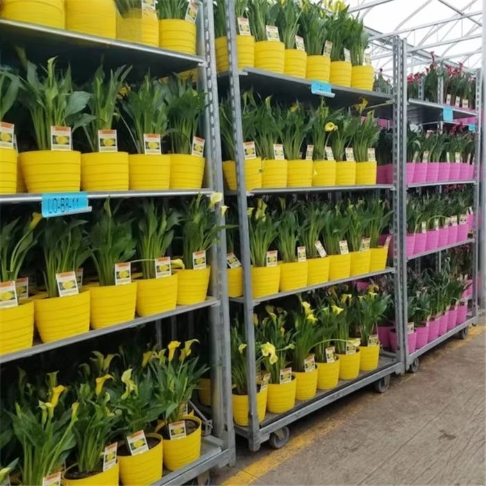 Newest Design Greenhouse Garden Rolling Nursery Plant Transport Metal Racks Carts