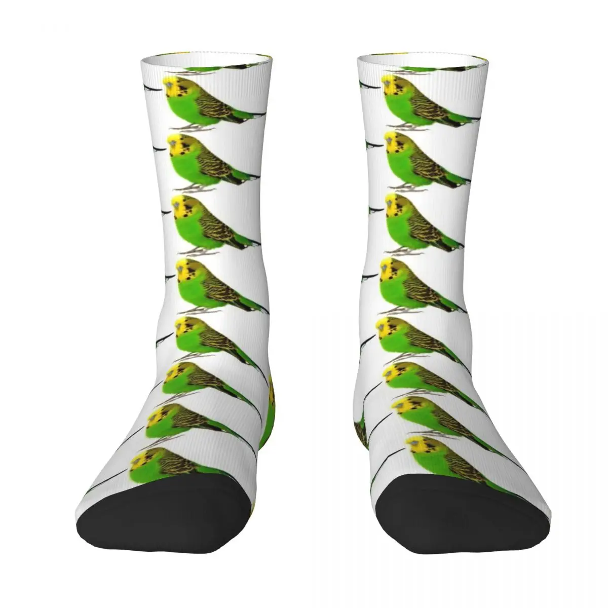 

Cute Budgie! Socks retro designer brand ankle Socks Women Men's