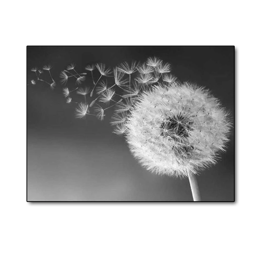 DIY Diamond Painting Full Round Diamond Dandelion 5D Diamond Painting DIY Black White Art Wall Decor Living Room Home Decor Gift