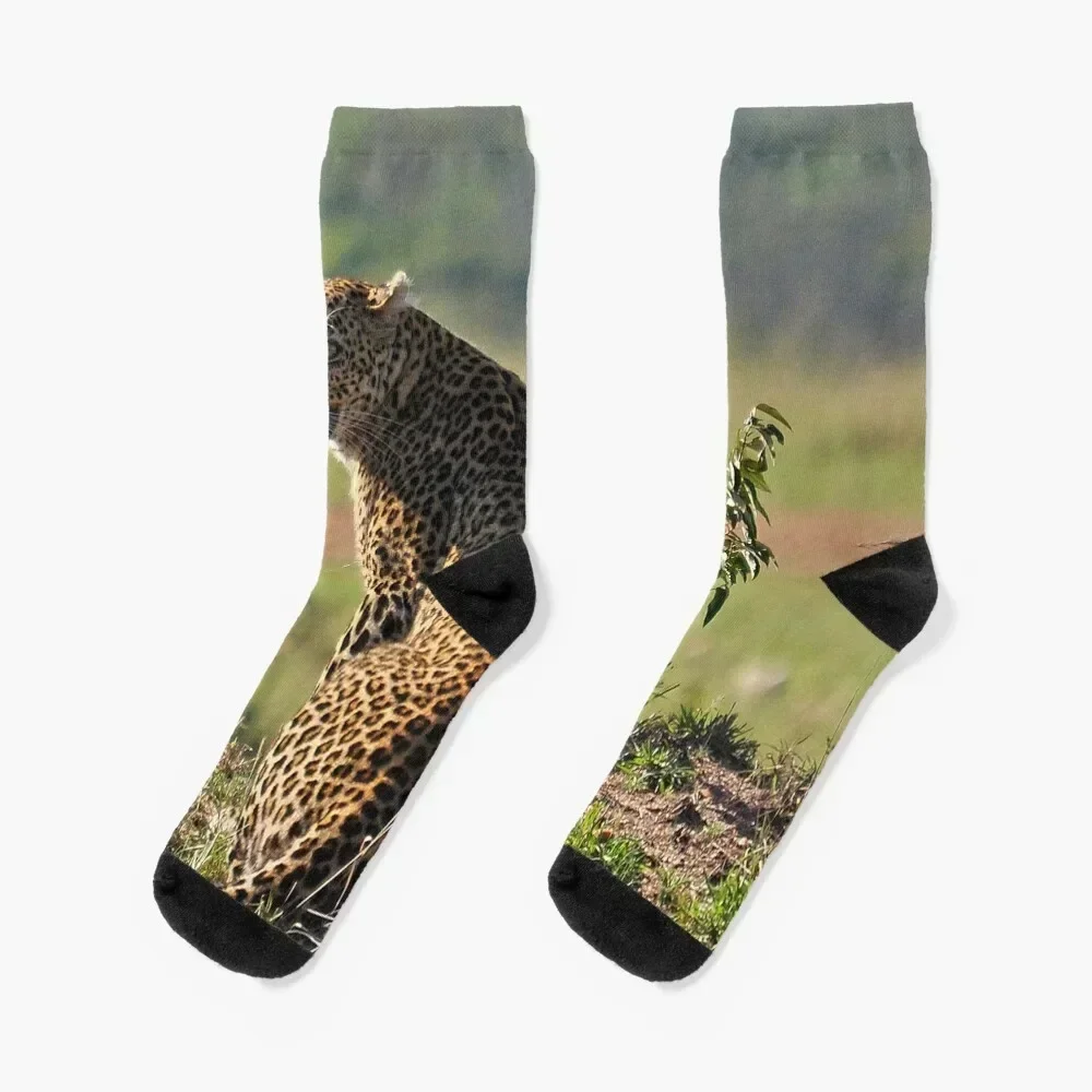 Leopard Massai Mara Kenya Socks Hiking boots anti slip football Socks For Man Women's