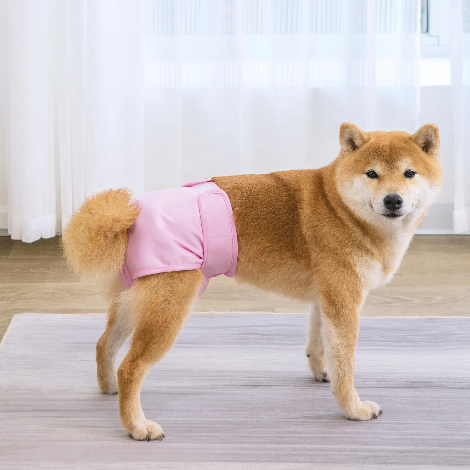 Customizable Washable Dog Diaper Reusable Premium Waterproof Milk Silk Pet Diaper