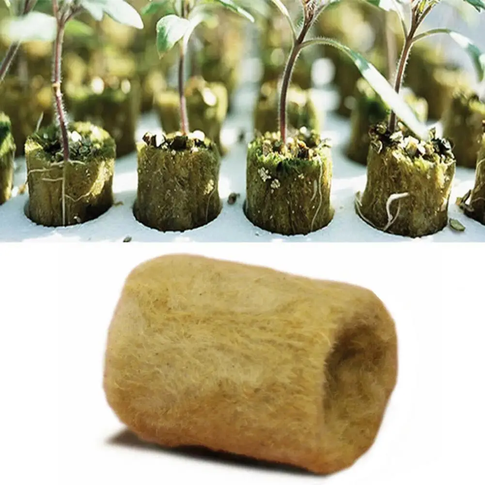 50Pcs Practical Hydroponic Sponge Easy To Transplant Rock Wool Grow Cube Excellent Drainage Performance Good Air  Permeability