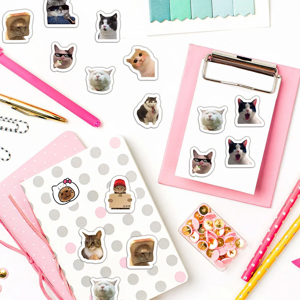 500pcs Cartoon Meme Cat Stickers For School Reward Stickers Classroom Decoration Encouragement Sticker For Student Teacher