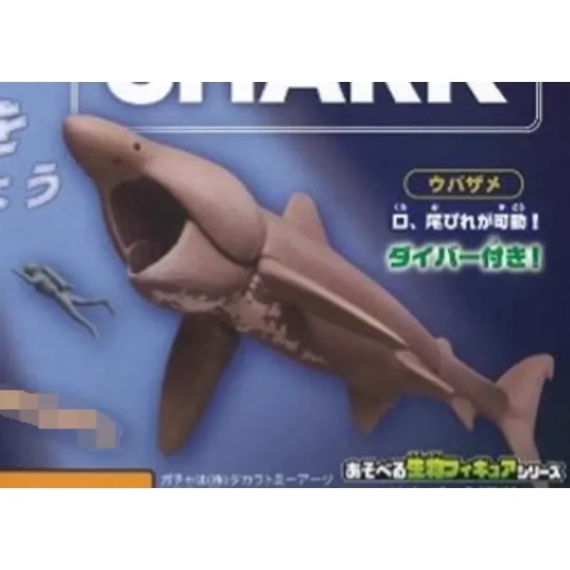Original Sea Life THE SHARK Gashapon juguetes figura de simulación modelo adornos Juguetes