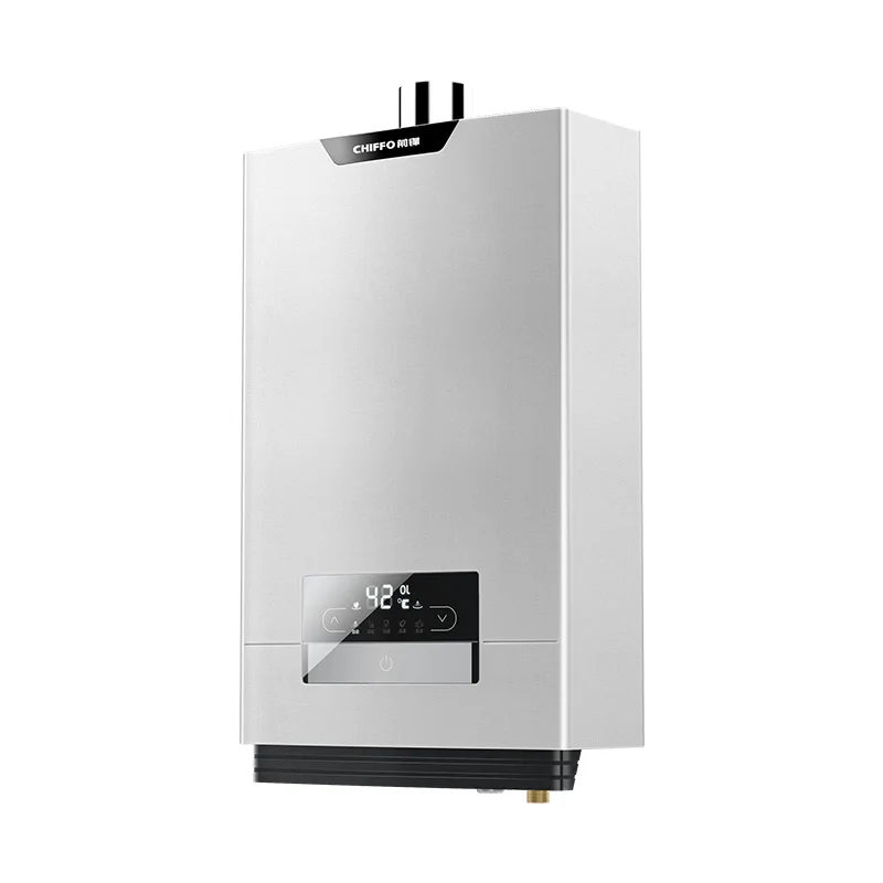 Wholesale 20L/24L High-Capacity Oxygen-Free Copper Tank Electric Gas Tankless LED App-Controlled Instant Smart Hot Water Heater
