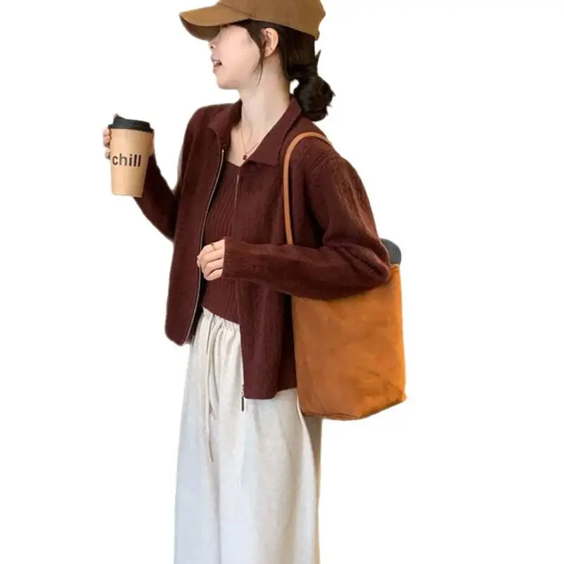 เสื้อสเวตเตอร์ เสื้อแจ็คเก็ต เสื้อกล้าม เสื้อกั๊ก ชุดเซ็ตสองชิ้น เสื้อคลุมถัก เสื้อไหมพรม เสื้อคลุมแขนยาว เสื้อโค้ท สีพื้น ฤดูใบไม้ร่วง ฤดูหนาว เสื้อถักพื้นฐาน