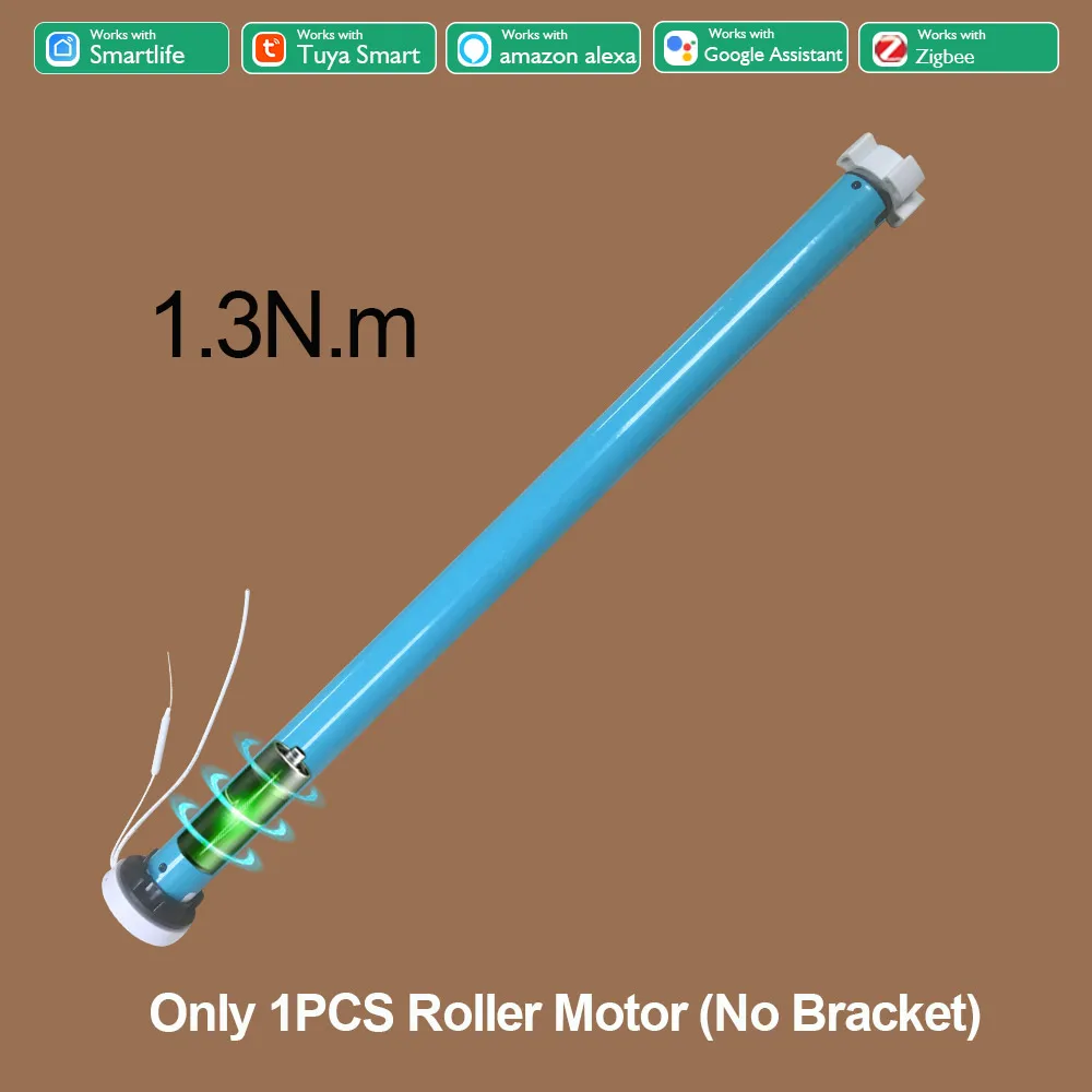 One Motor No Bracket