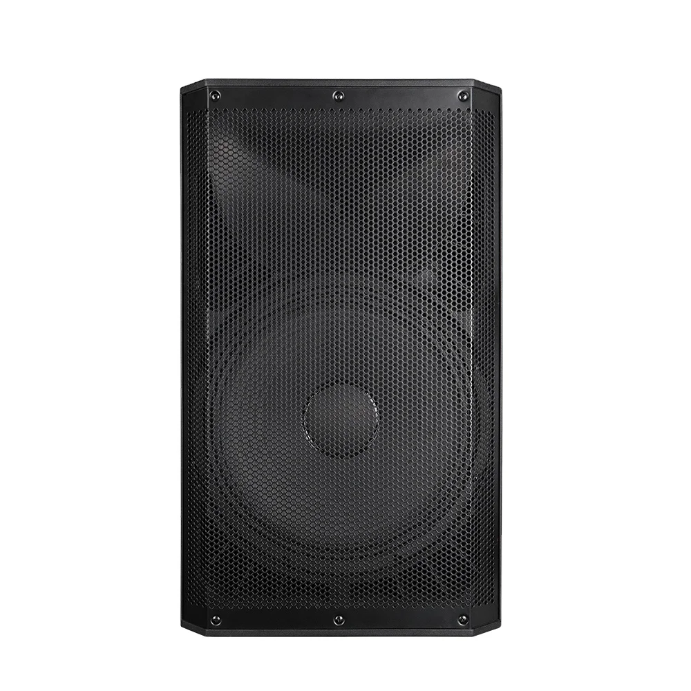 

15 Inch Professional Pa System Outdoor Concert Sound System Active Loudspeaker