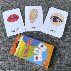 Kids 36PCS/Set Animal Shape Color Time Flash Card Montessori Early Education Learning Educational Toys For Children Gifts