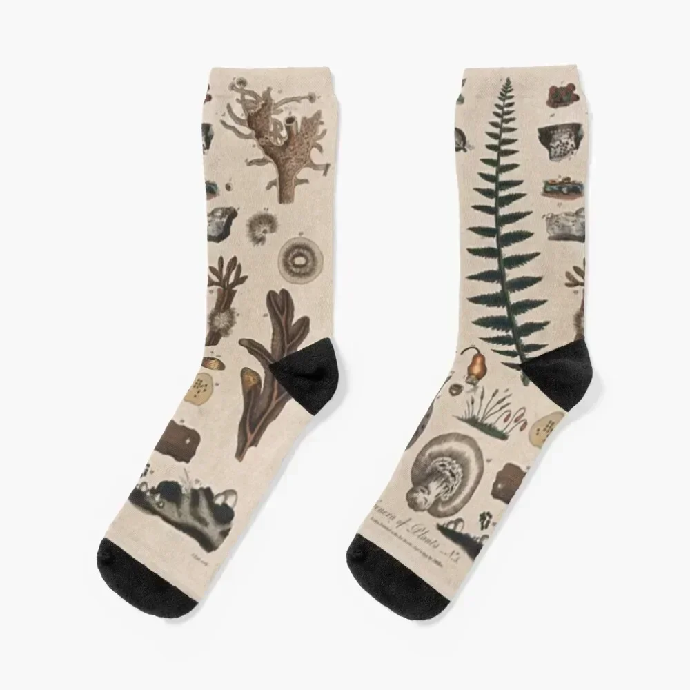 

Botany Chart Socks Men's new year kids snow Socks Woman Men's