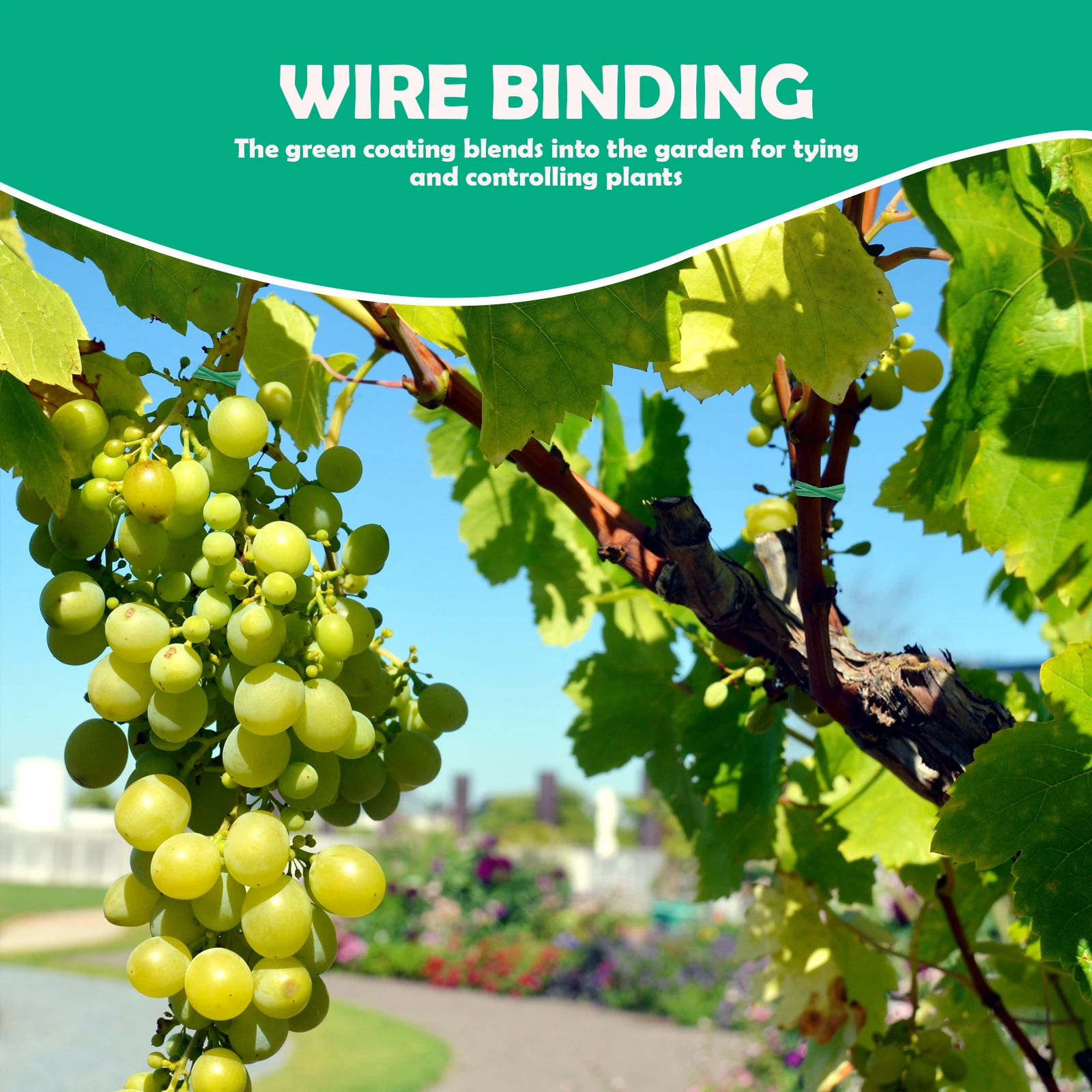 

1Pcs Eco-Friendly Iron Wire Garden Tie Green Coated for with Cutter Cable Reel for Vines Shrubs Flower Support