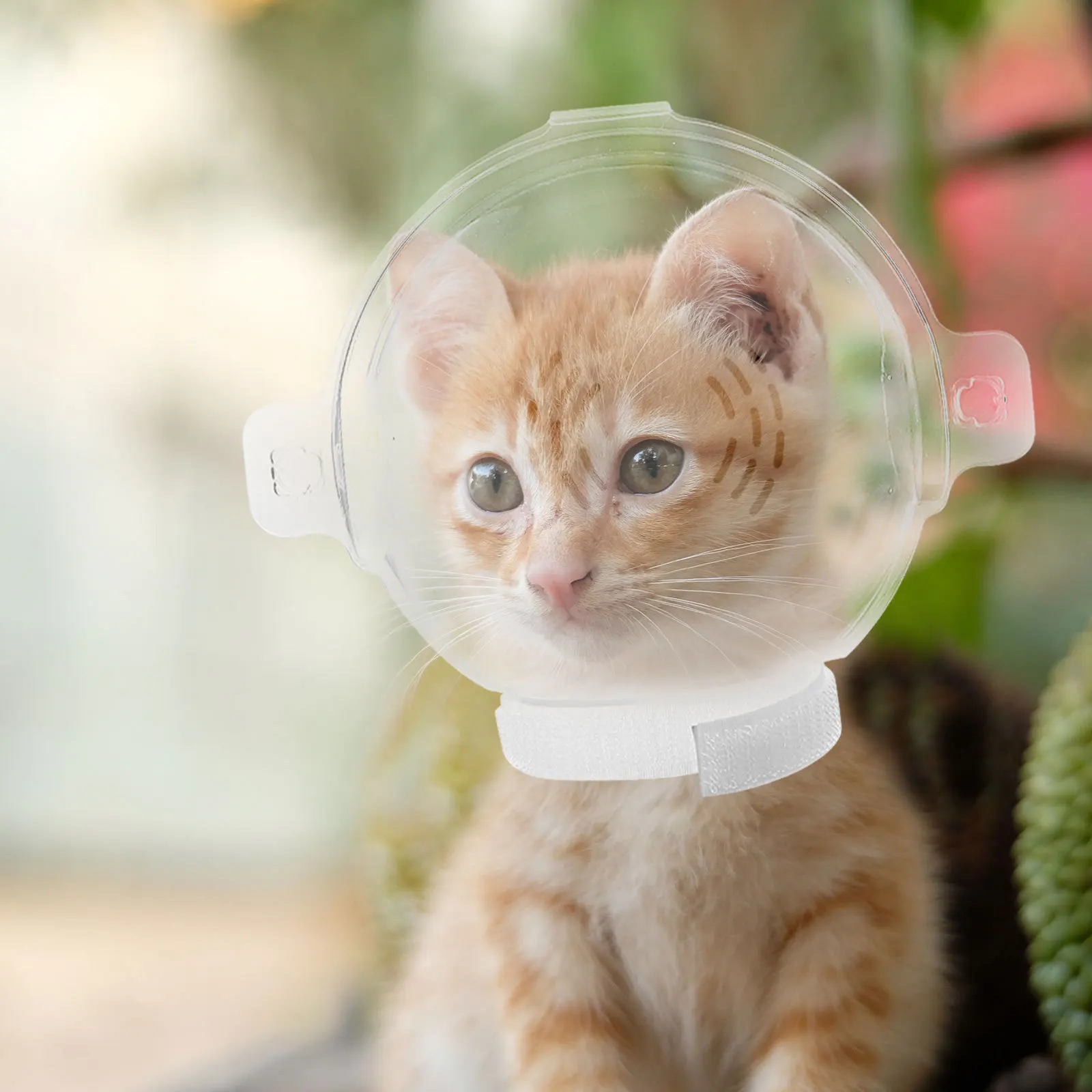 

Cat Clear Transparent Anti Bite Breathable Recovery Hood Protective for Cats After Surgery Breathable Cat Hood