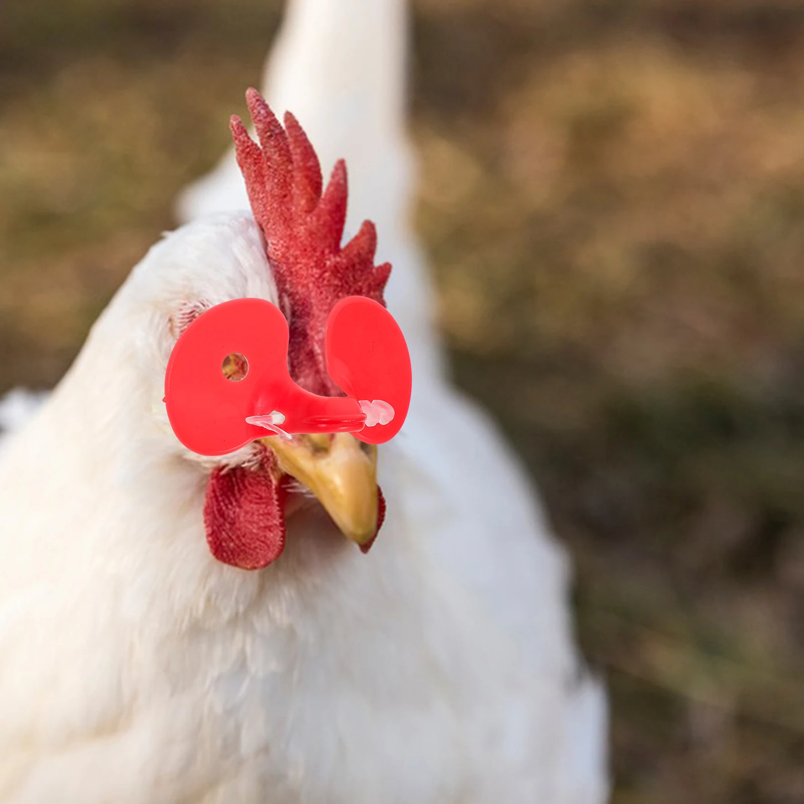 

100 Pcs Anti Pecking Glasses Chicken Plastic Eyeglasses for Farm Poultry Supplies Pet Spectacles Prevent