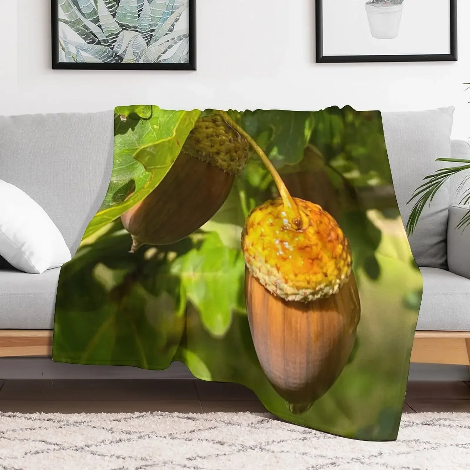 Acorns In The Woods Throw Blanket Decorative Throw Fashion Sofas Bed covers Blankets