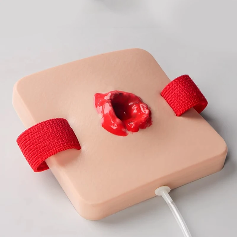 Modulo simulato per la pratica delle ferite per l'addestramento e le scuole degli infermieri con emostasi e manichini per la pratica di pronto soccorso