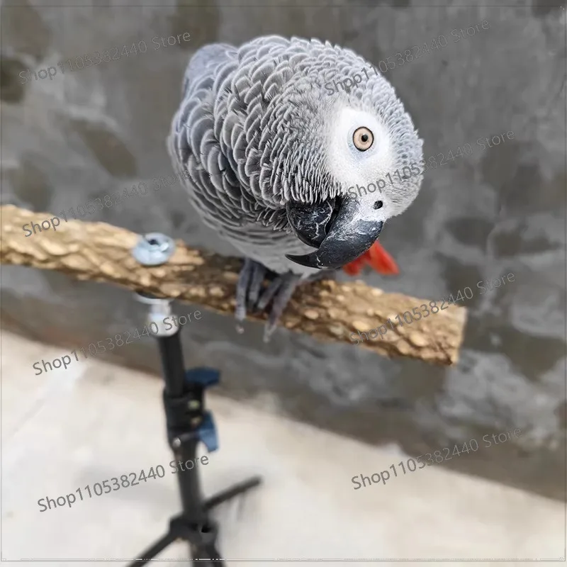 Large parrot bird outdoor tripod stand walking bird out bird training Xuanfeng tiger skin peony use pay attention to size