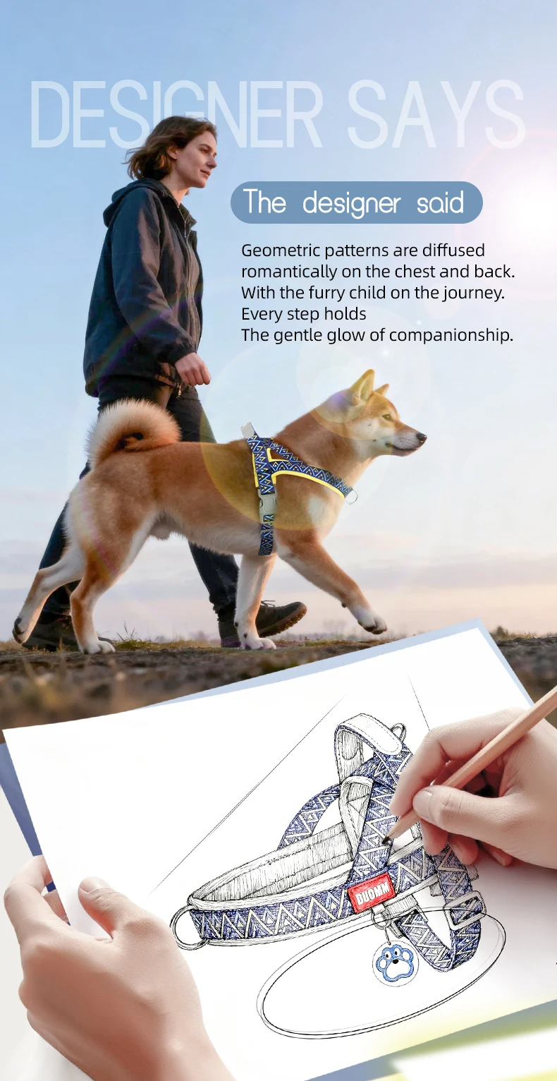 Kleines bis mittelgroßes Hundegeschirr im Sattelstil mit geometrischem Druck, modisches Outdoor-Geschirr zum Spazierengehen, kein Ziehen beim Training, schnelles Anziehen für Welpen und Haustiere – Detail 3