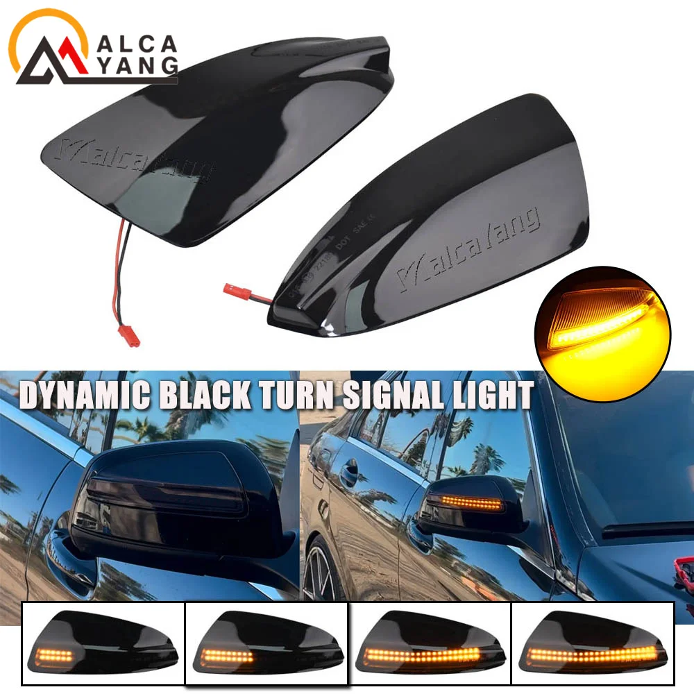 2PCS Blinker Licht Seite Spiegel Anzeige Blinker Für Mercedes Benz C Klasse W204 S204 Viano Vito W639 ML w164 Weiße LED DRL – Detail 1