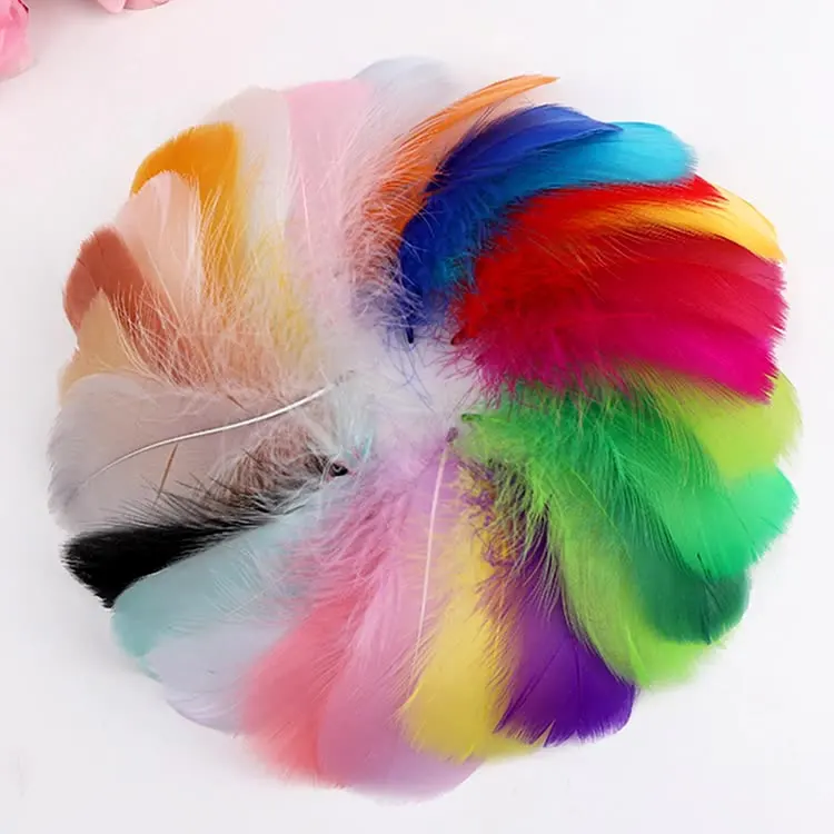 

Natural Goose Feathers 100-500PCS Colored Feather Decorative Feathers for DIY Crafts Home Decor Dream Catcher Accessories