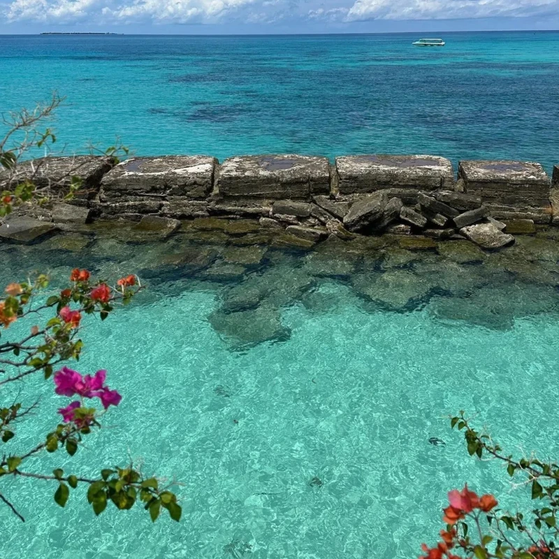 

GEPRC SPEEDX2 2809 Motor - 1280KV 6S LiPo N52SH 7-8inch FPV Long Range Cinelifter RC DIY Parts