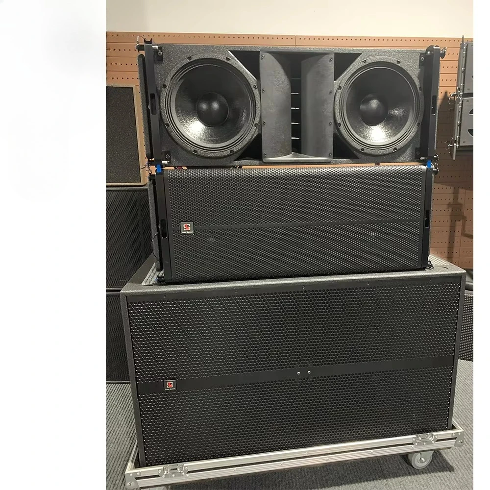 Pro Audio 12 بوصة خط كبير صفيف النيوديميوم المغناطيس مكبر الصوت نظام الصوت