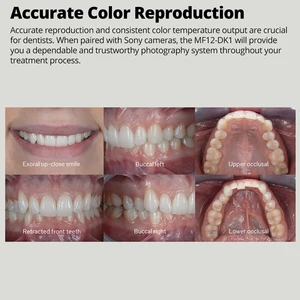Godox MF-DD Diffuse Diffusor, silikales Geldiffusionsdom-Kit, Godox MF12 Blitz 8 Hauptverkauf Gelatine für die Beleuchtung - №6