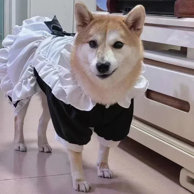 Large Pet Clothes Summer Big Dog Dress Corgi Shiba Inu Samoyed Husky Labrador Golden Retriever Dog Clothes Pet Apparel Dresses