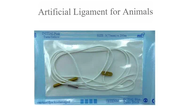 Orthopedic Dog Artificial Ligament System with Breakable Anchors for Hip Dislocation Repair