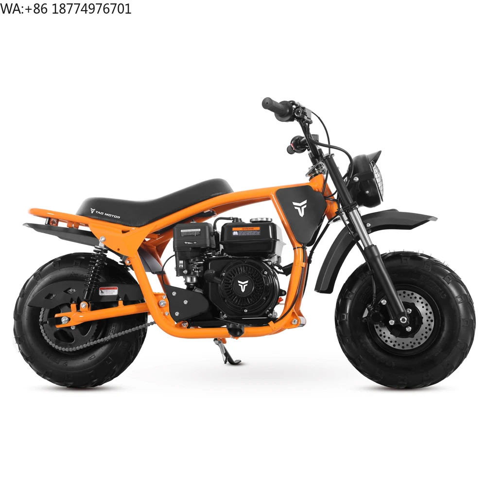 Tao Motor 2025 New Steel Frame Fat Tire Dirt Bike 200cc Mini Bike