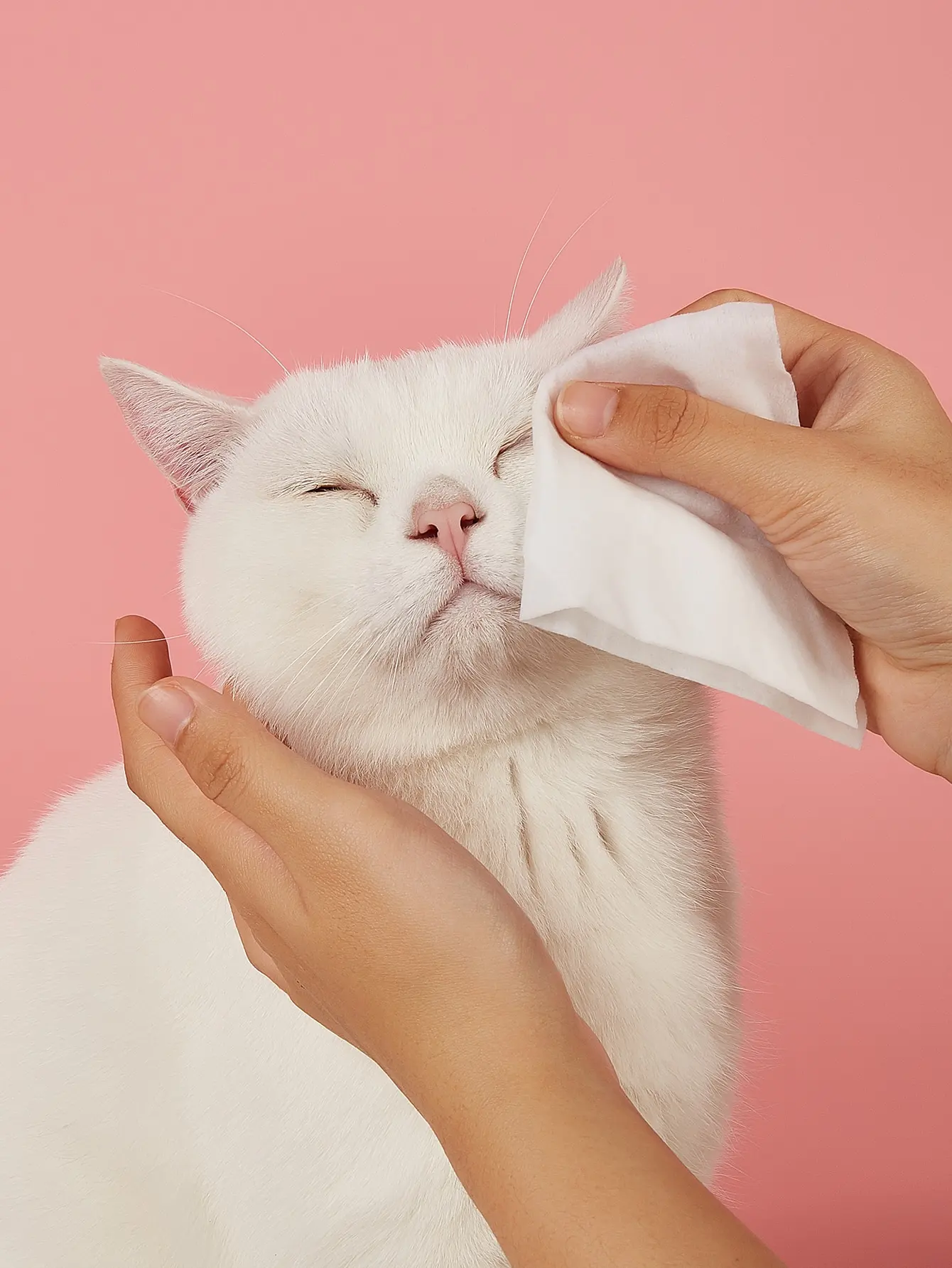 Pet Wet Wipes for Dogs and Cats, 3 Packs, No-Rinse Butt Cleaning Wipes, Tear Stain Cleaning Wipes