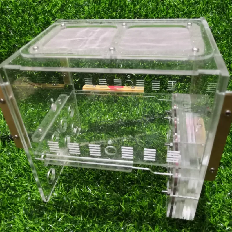 

8 Test Tube Nest Adopts 18 Caliber Test Tube Large Colony Ant Nest Acrylic Test Tube Ant Nest Insect Box