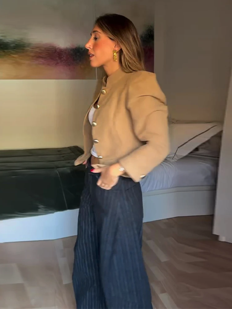 Stehkragen-Knopfjacke für Damen, Elegante Langarm-Einreiher-Jacke für den Frühling, Modische Damen-Oberbekleidung – Detail 13