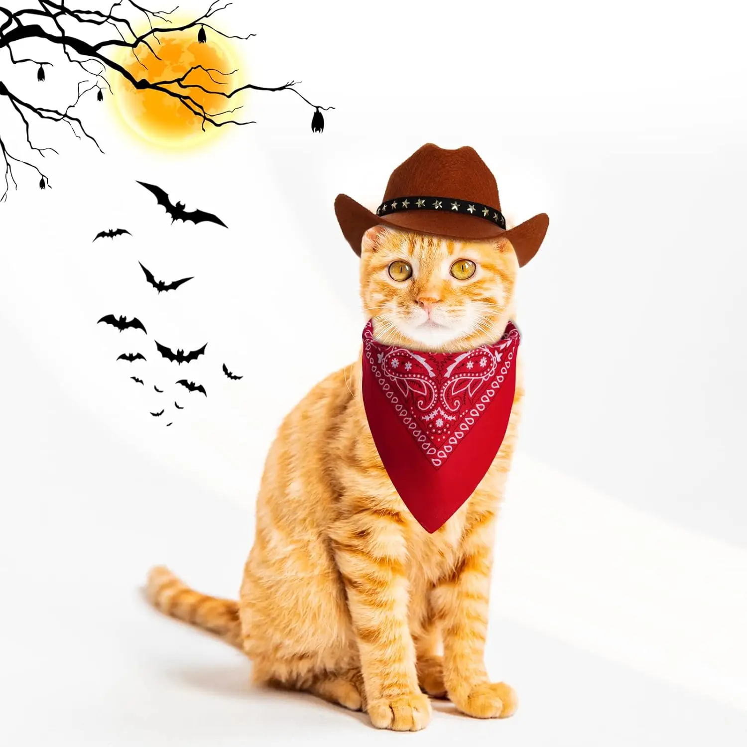 

Pet Cowboy Costume Hat and Bandana Funny Dog Cat West Cowboy Hats Pet Halloween Birthday Party Cosplay Pet Accessories