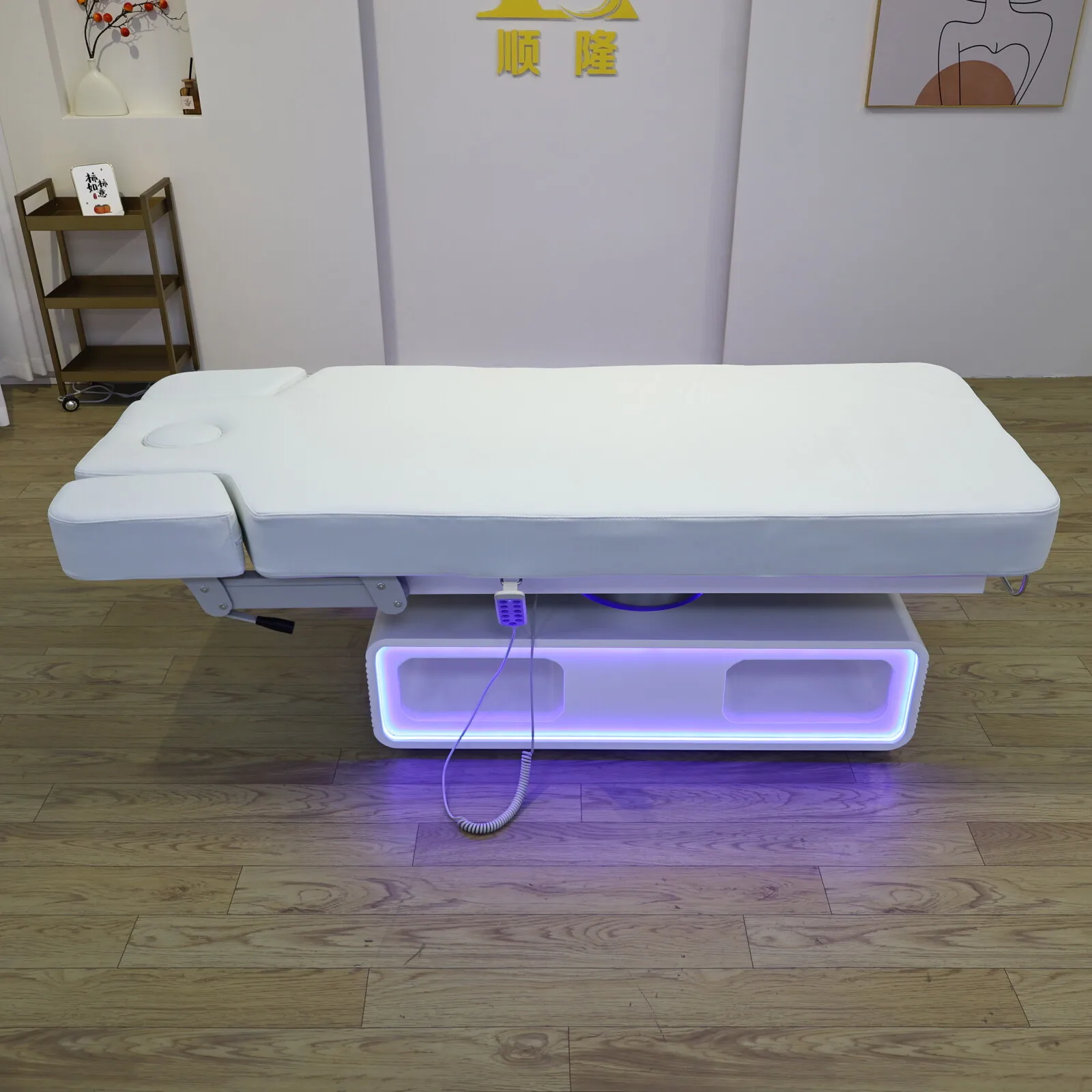 Electric Massage Bed with LED Light Base, 3 Motor Adjustable Reclining Facial Bed for Spa Salon Beauty Tattoo Lash Table
