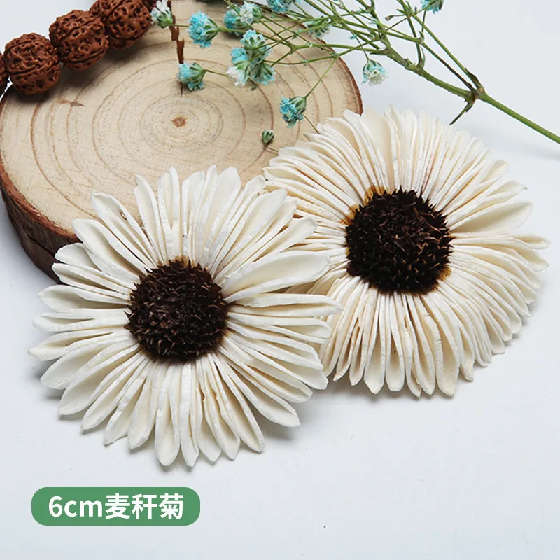 10PCS African Daisy Hand-made DriedFlowers No-fire Aromatherapy Sola Flower for Reed Diffuser Home