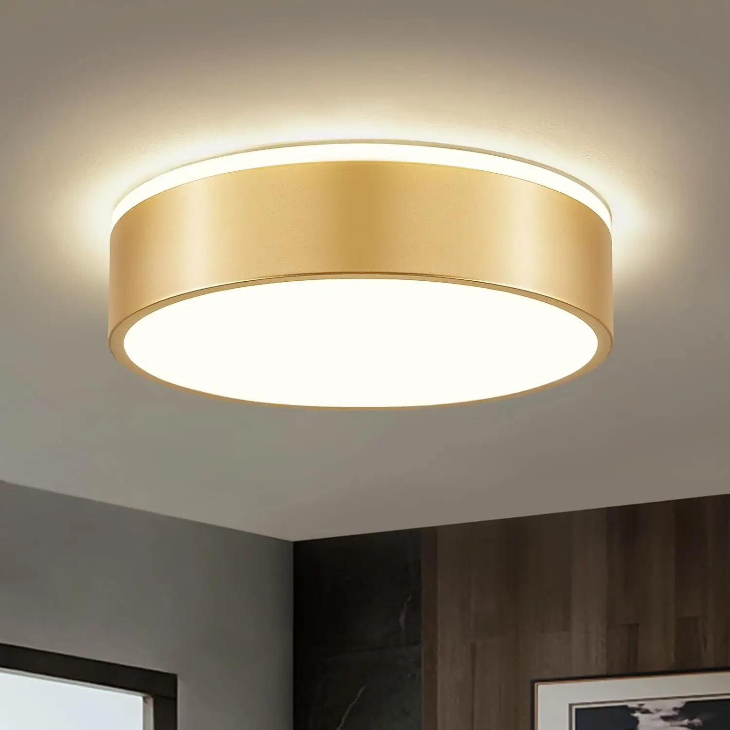 Gold Dimmable Ceiling Light, Modern Led Flush Mount Ceiling Lighting Fixture, Round 2700K-6000K 5Cct Minimalist Metal Lights