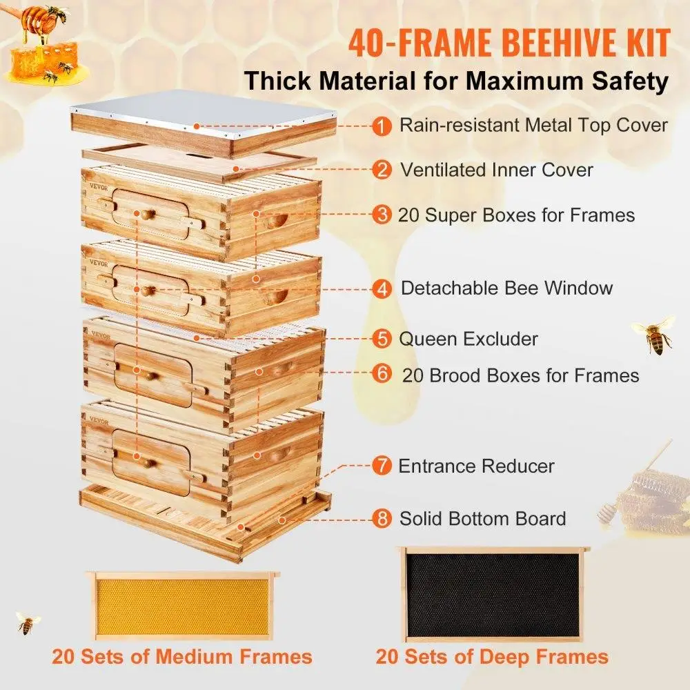 40 Frame Bee Hive Starter Kit - Beeswax-Coated Cedar, 2 Deep & 2 Medium Boxes, Langstroth Design, Acrylic Windows, Perfect for