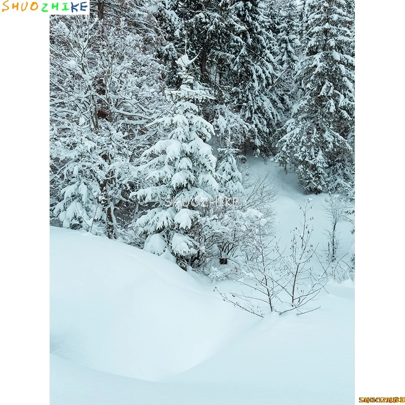 الشتاء الغابات الثلوج الطريق خلفيات للتصوير الفوتوغرافي عدم وضوح المشهد الثلج الطريق شجرة التنوب خلفية الصورة XD-12