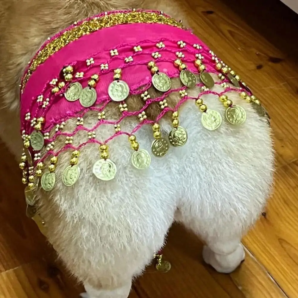 Dog Dance Skirt Costume Corgi Waist Chain Butt Curtain Clothes Pet Sequin Belly Dance Prop Puppy Hip Scarf for Halloween