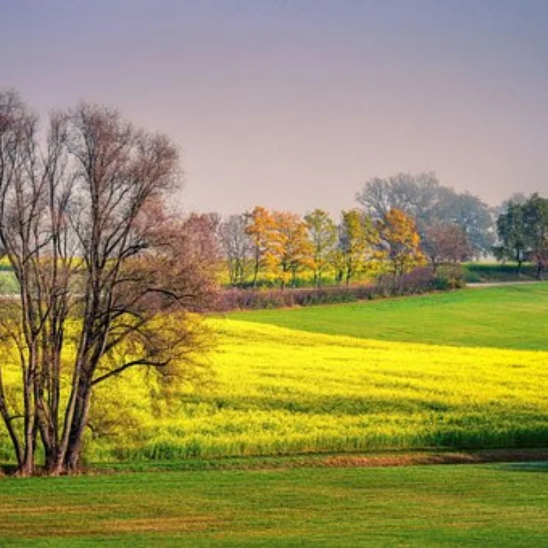 

2,5/5,5 градусов жесткие пластиковые дрифтовые шины, металлический обод колеса для Wltoys 284131 K969 K989 Kyosho Mini-Z 1/28, детали для обновления радиоуправляемого автомобиля